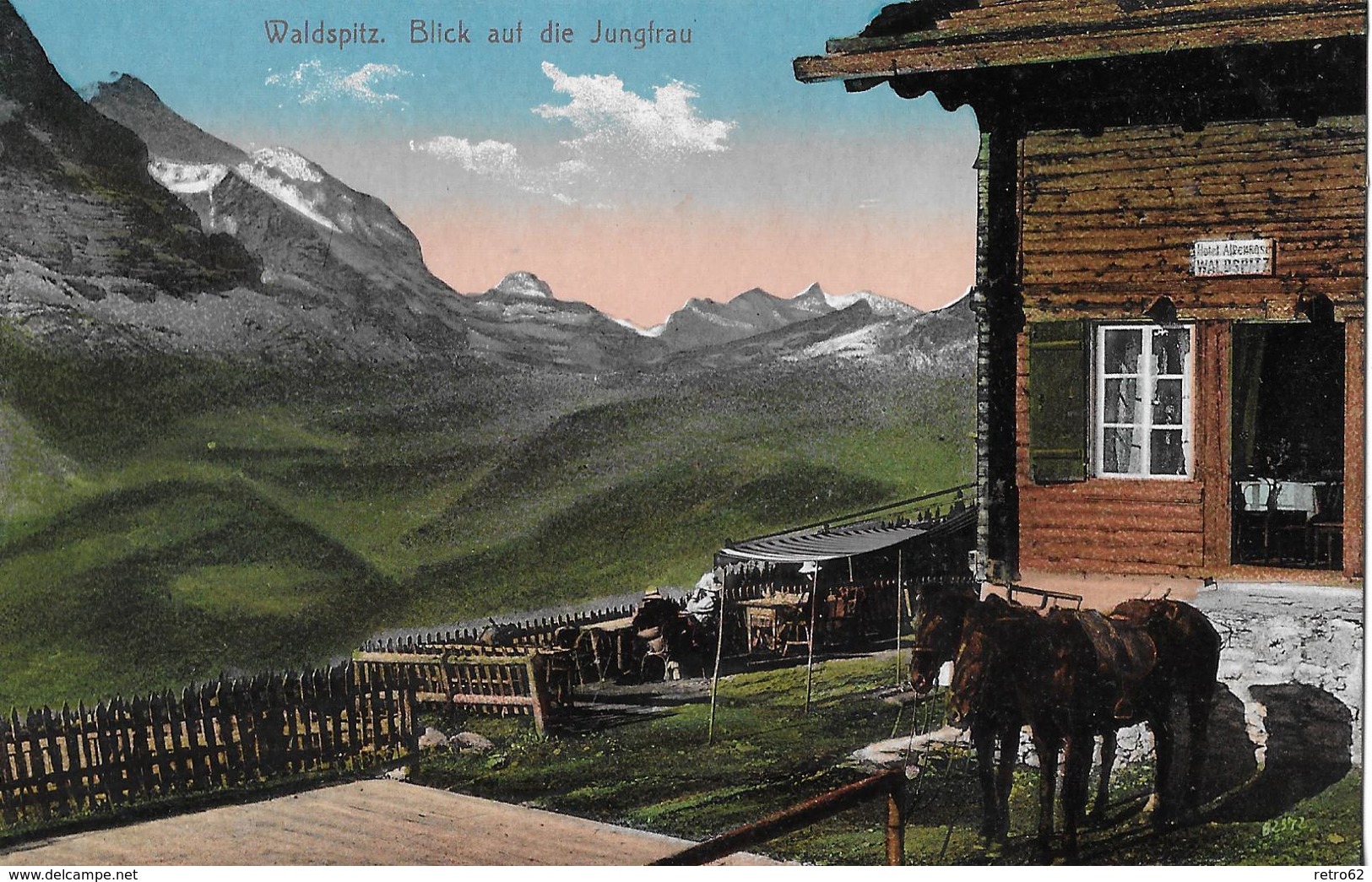 WALDSPITZ → Hotel Alpenrose Mit Saumtiere Davor Anno 1918 - Wald