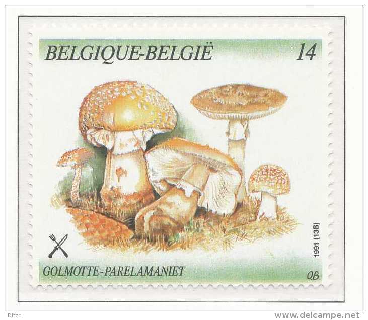 D- [153139] **/Mnh-[2419] Belgique 1991, Végétaux, Champignon, Golmotte, Du Carnet 21, SNC - Champignons