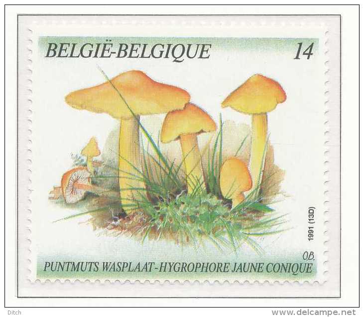 D- [153141] **/Mnh-[2421] Belgique 1991, Végétaux, Champignon, Hygrophore Jaune Conique, Du Carnet 21, SNC - Champignons