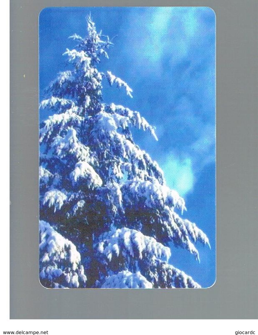 ROMANIA (ROMANIA) - 2000  WINTER, TREE - USED  -  RIF. 10753 - Saisons