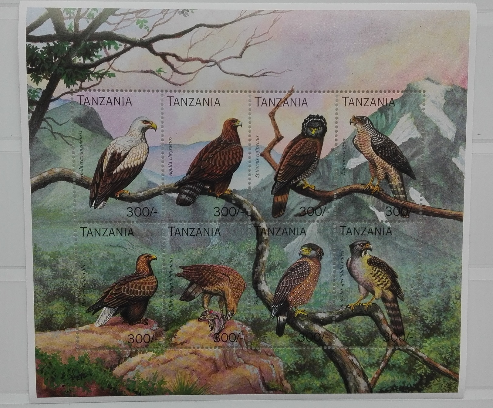 Tanzania 1996** Klb.2410-17. Predatory Birds MNH [4;47] - Autres & Non Classés