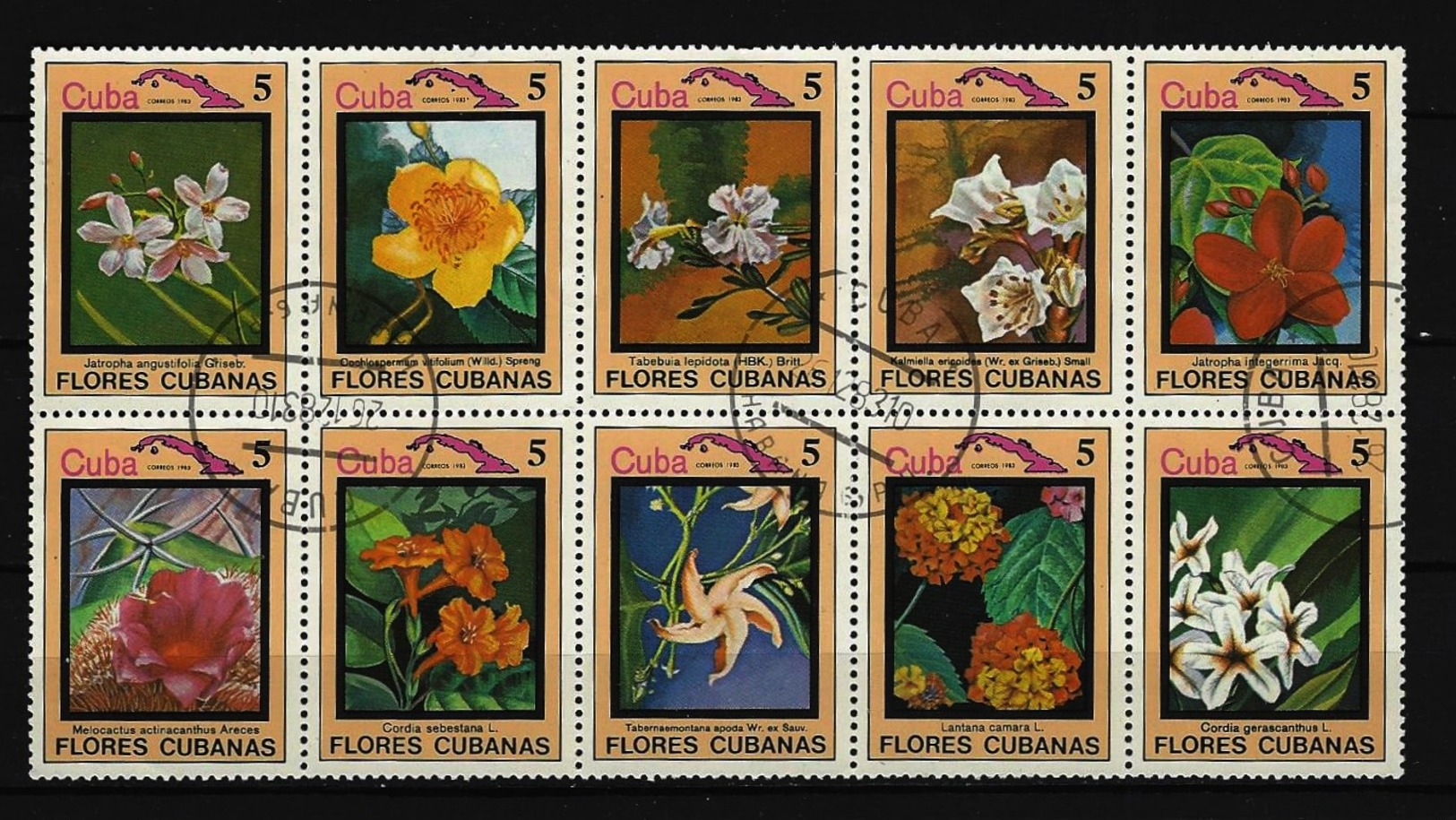 KUBA - Zusammendruck Blumen Gestempelt Aus 1983 - Blocks & Kleinbögen