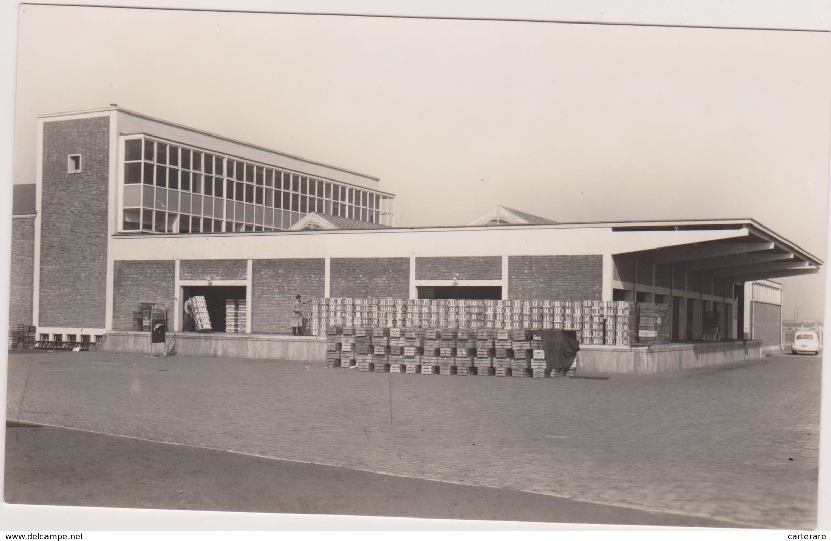 Carte Photo ,pays Bas, Hollande,rotterdam,coopérative En Activité,rare,zuid-holland,usine - Rotterdam