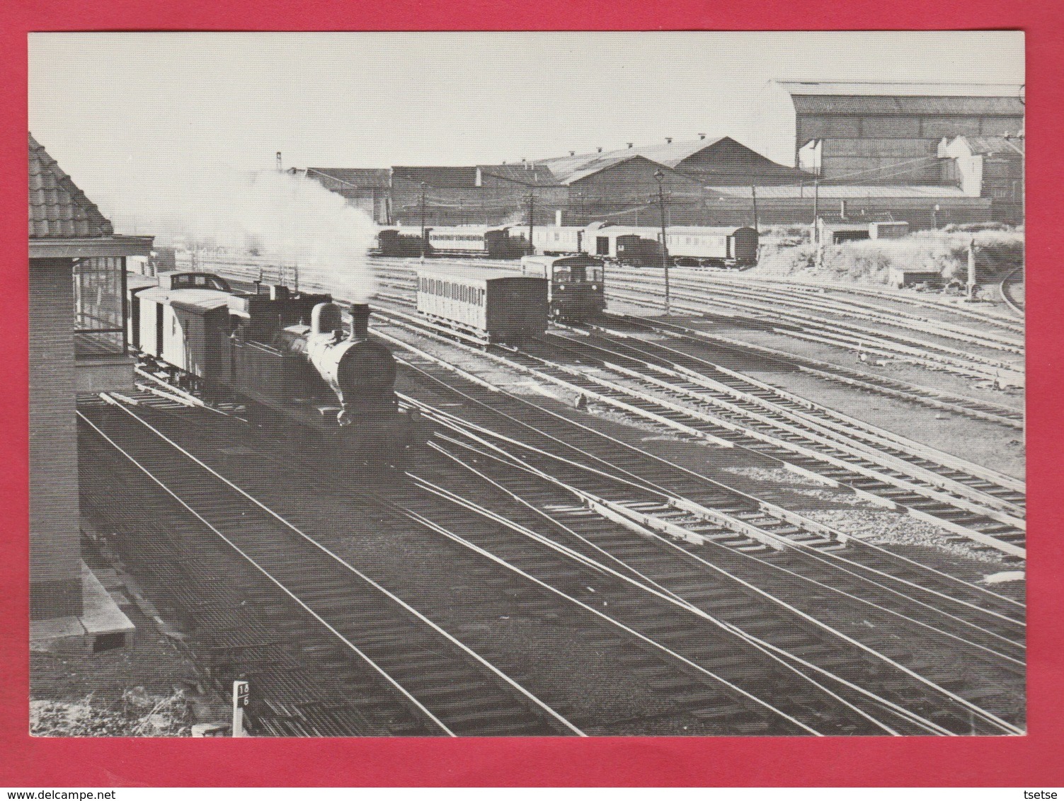 Haine Saint-Pierre- Gare SNCB - Locomotive Tender Du Type 16 - 1956 - Autres & Non Classés