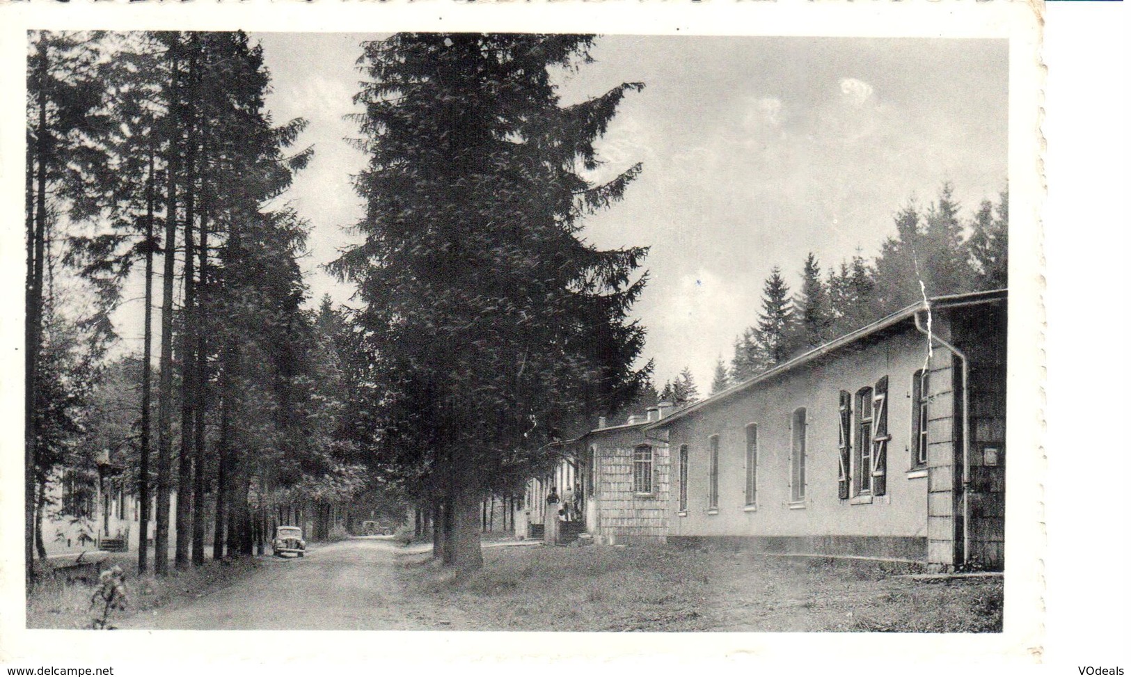 Liège - CP - Camp Elsenborn - Av. Léopold III - Elsenborn (Kamp)