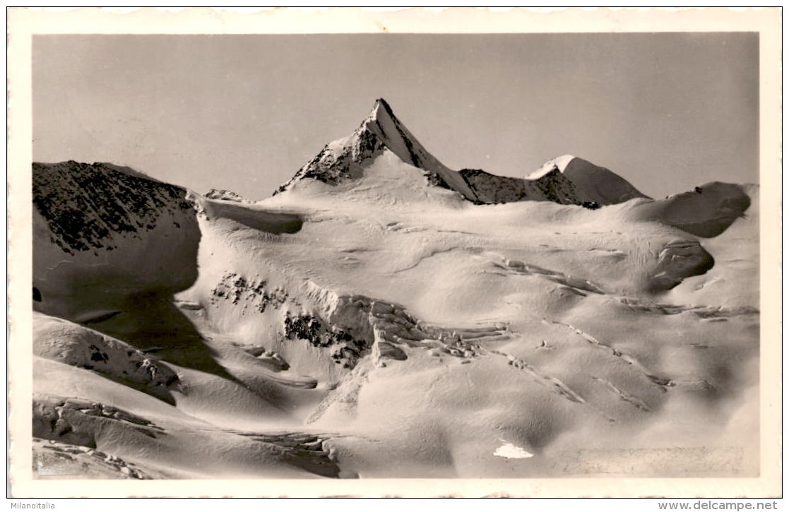 Blick Vom Schalfjoch Auf Die Hintere Schwärze U. Similaun, Ötztaler Alpen, Tirol (8/16) * 26. 8. 1959 - Sölden