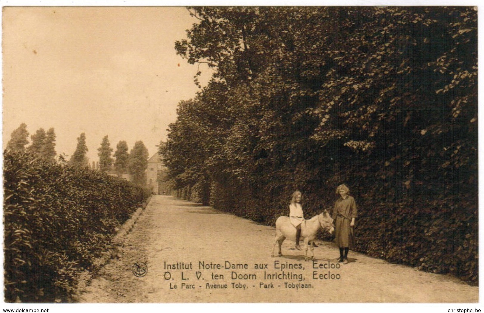 Eeklo, Eecloo, Institut Notre Dame Aux Epines, Park, Tobylaan (pk44226) - Eeklo