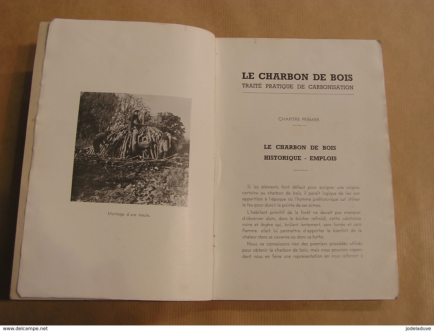 LE CHARBON DE BOIS Traité Pratique de Carbonisation Technique Charbonniers Forêt Fabrication Combustion Four Historique