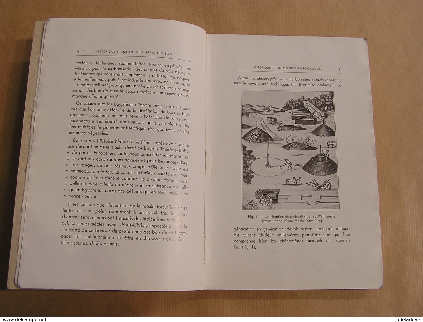 LE CHARBON DE BOIS Traité Pratique de Carbonisation Technique Charbonniers Forêt Fabrication Combustion Four Historique
