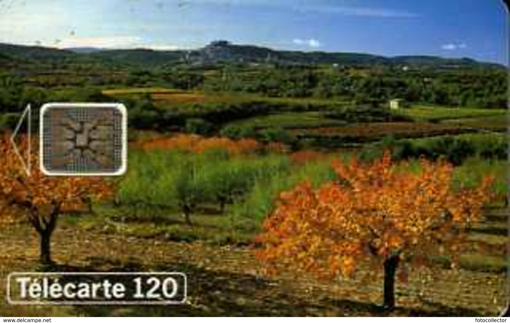 Télécarte 120 : Paysage Au Fil Des Saisons - Paysages