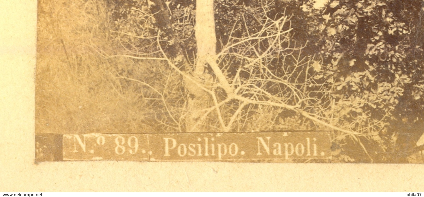 Italy - No. 89, Posilipo Napoli, Photo Dimension Cca 25,6x20 Cm / 3 Scans - Anciennes (Av. 1900)