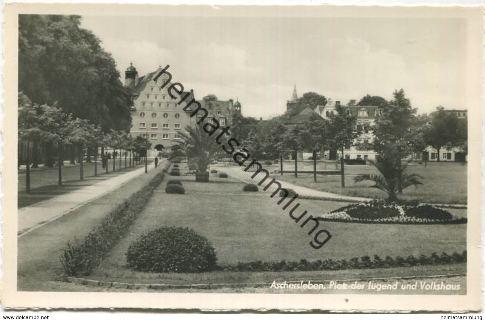 Aschersleben - Platz Der Jugend Und Volkshaus - Foto-AK - Verlag Trinks & Co. Leipzig - Aschersleben