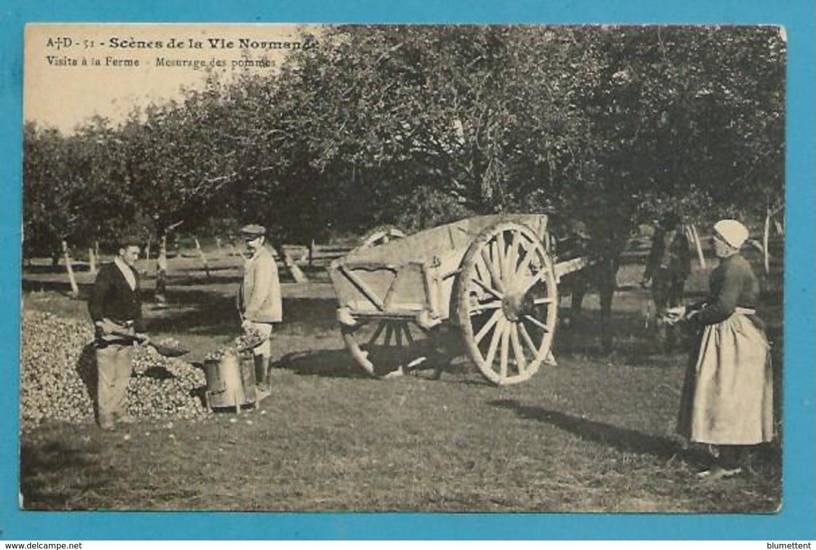 CPA 51 - Scènes De Ma VIE NORMANDE Visite à La Ferme : Mesurage Des Pommes - Altri & Non Classificati