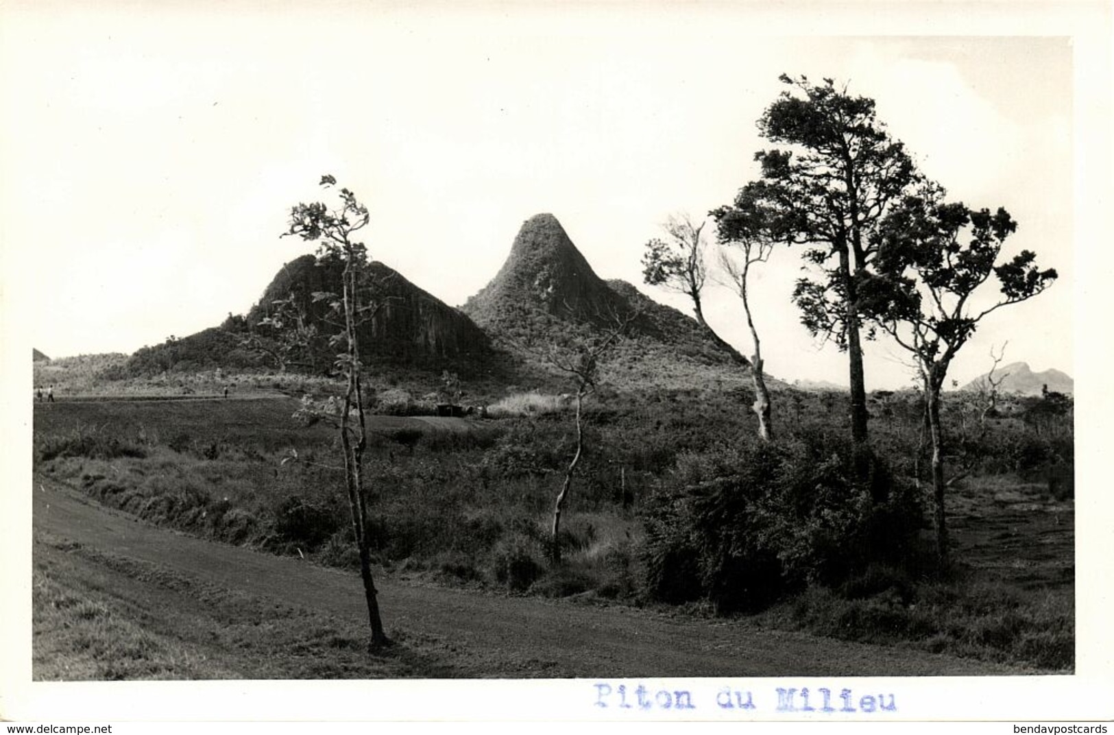 Mauritius, MOKA, Piton Du Milieu Mountain (1950s) RPPC - Mauritius