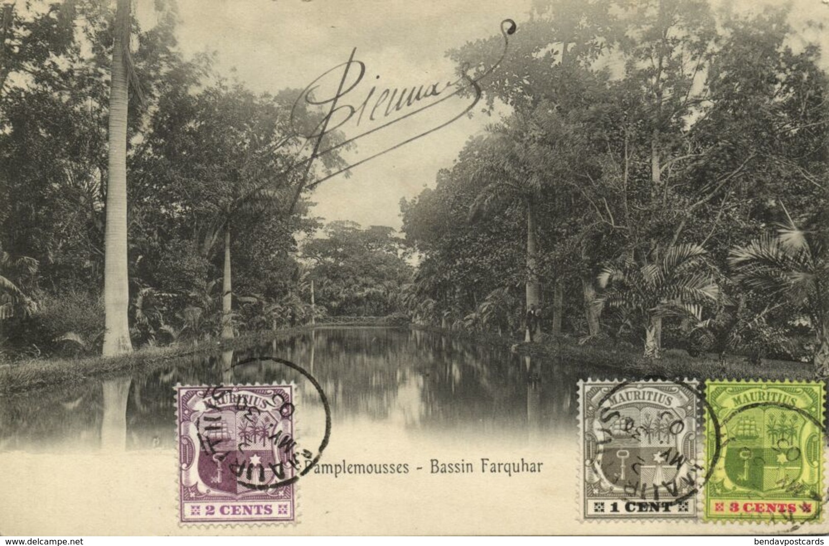Mauritius Maurice, PAMPLEMOUSSES, Bassin Farquhar (1906) Postcard - Mauritius