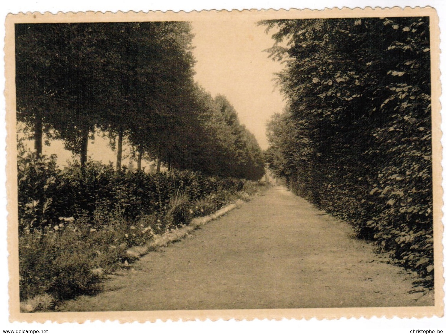 Eeklo, Eecloo, O.L.V Ten Doorn Inrichting (pk44241) - Eeklo