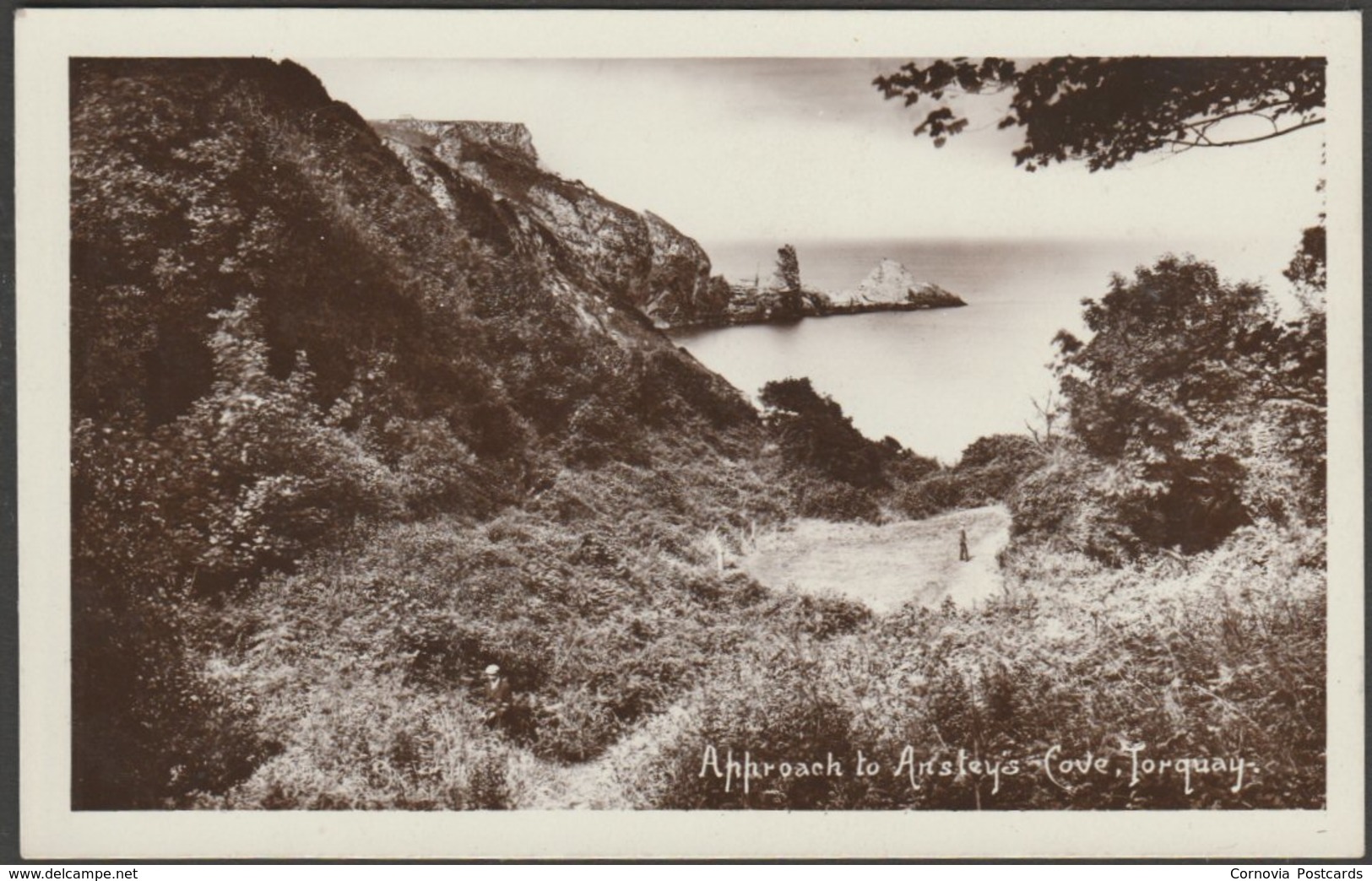 Approach To Anstey's Cove, Torquay, Devon, C.1910s - Harvey Barton RP Postcard - Torquay
