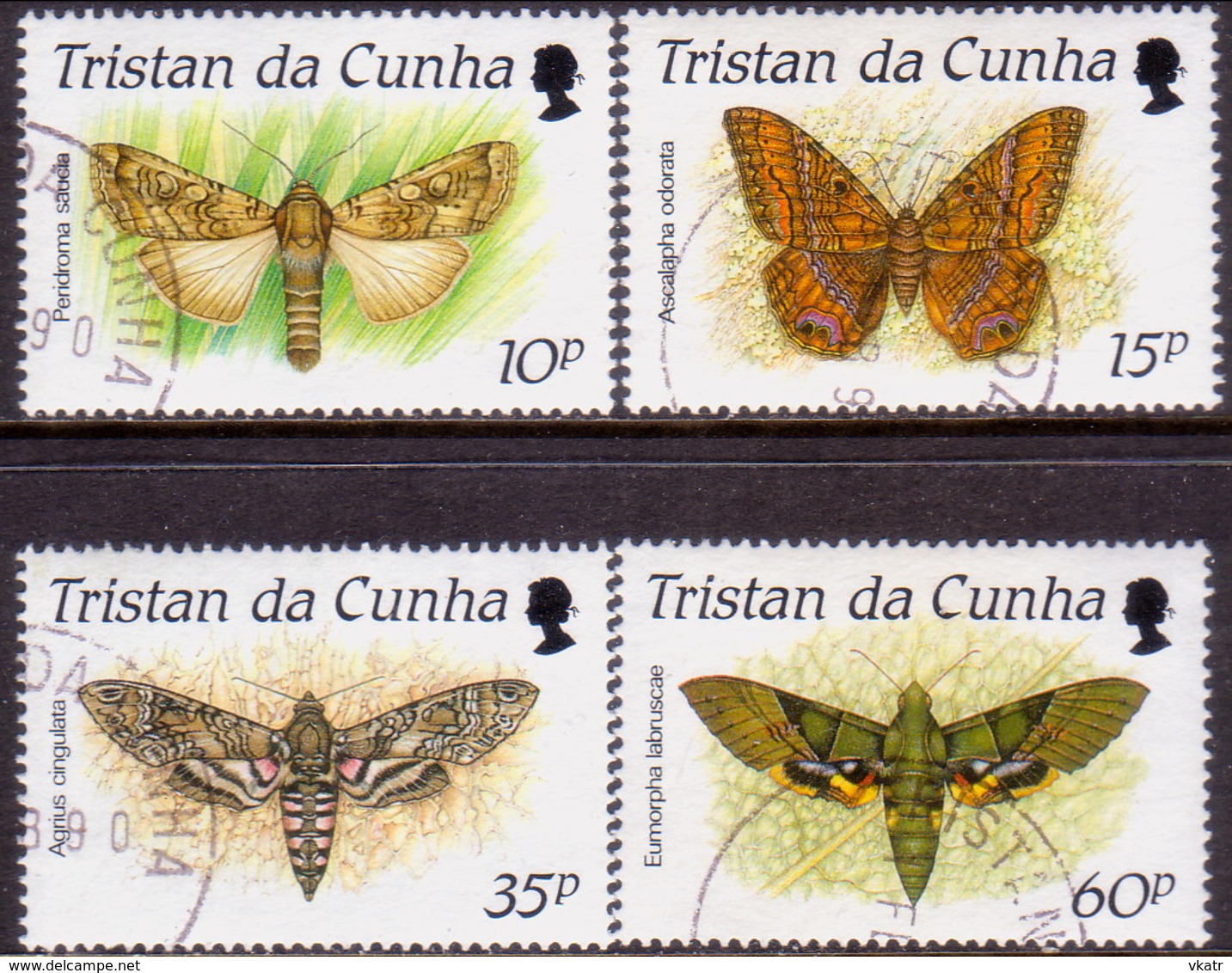 TRISTAN DA CUNHA 1990 SG #490-93 Compl.set Used Moths - Tristan Da Cunha