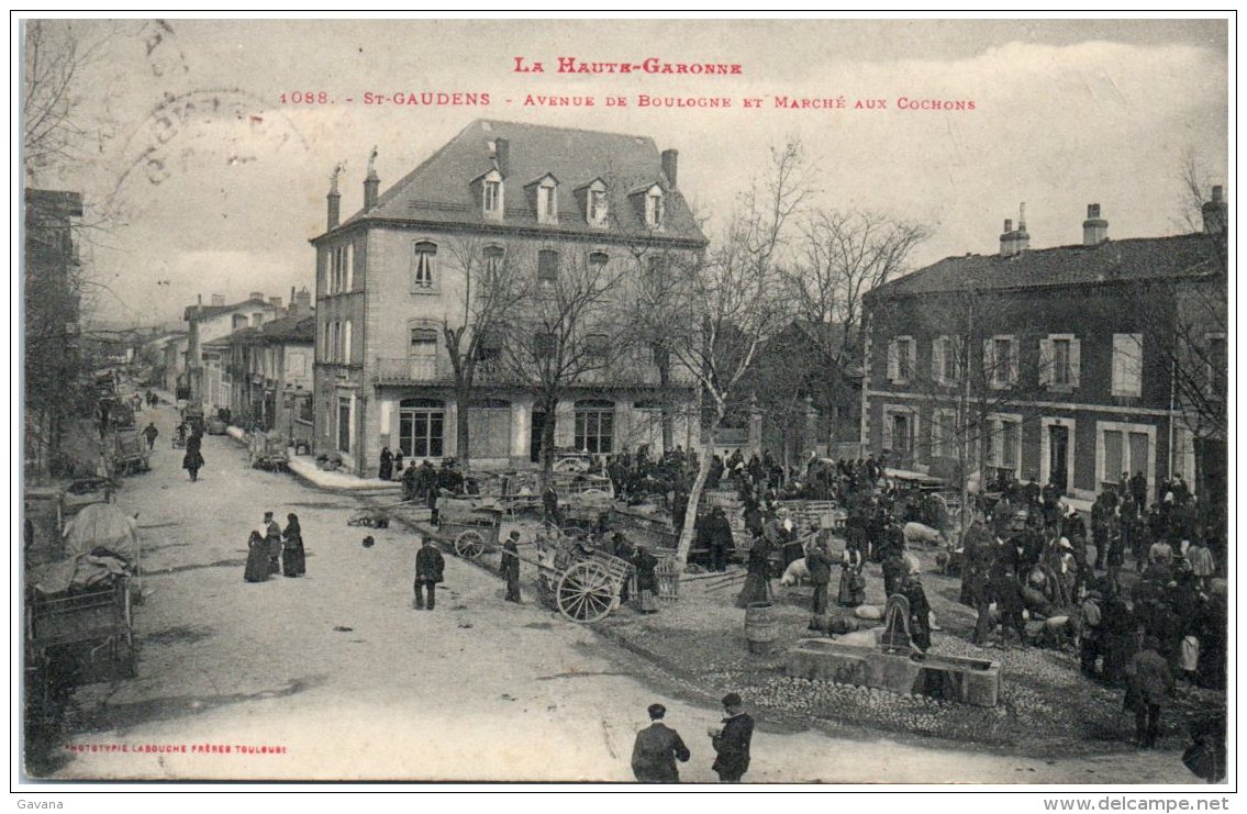 31 SAINT-GAUDENS - Avenue De Boulogne Et Marché Aux Cochons - Saint Gaudens