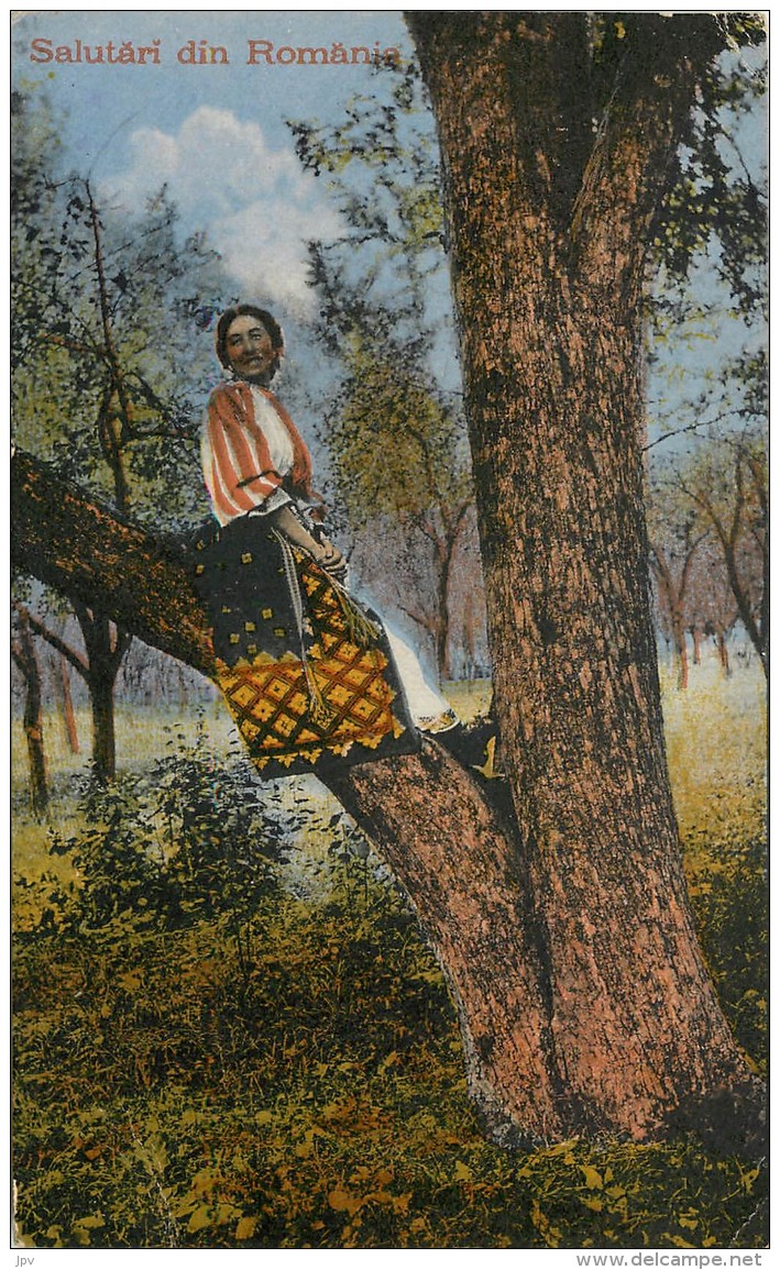 ROUMANIE - FEMME SUR UN ARBRE - Romania