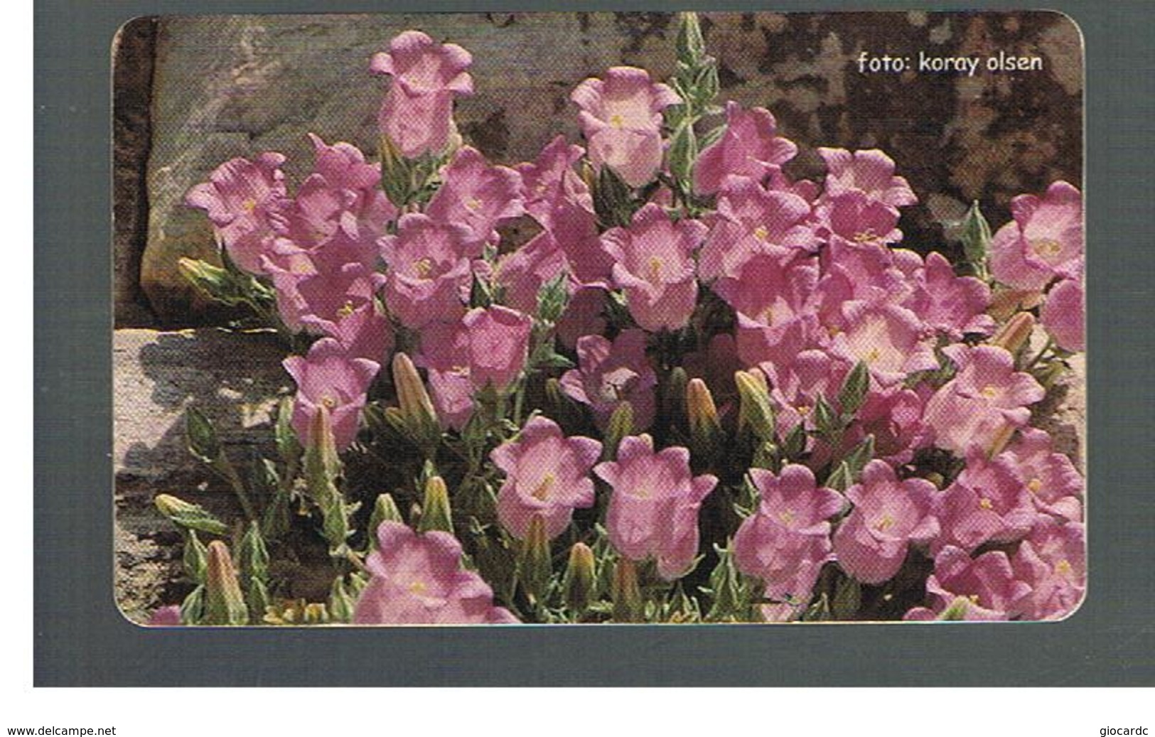 TURCHIA  (TURKEY)  -  2003   FLOWERS - USED - RIF. 10778 - Fiori