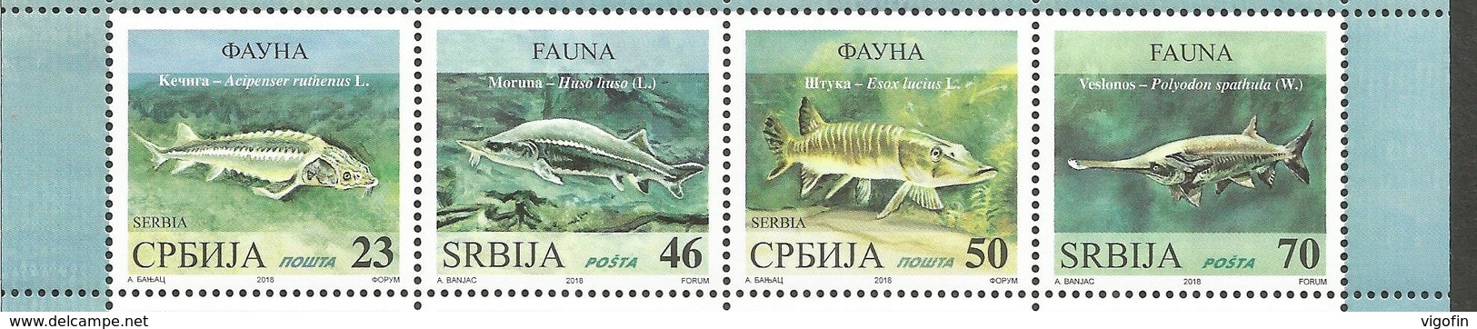 SRB 2018-781-4 FISHES, SRBIJA SERBIE, 1 X 4v, MNH - Serbien