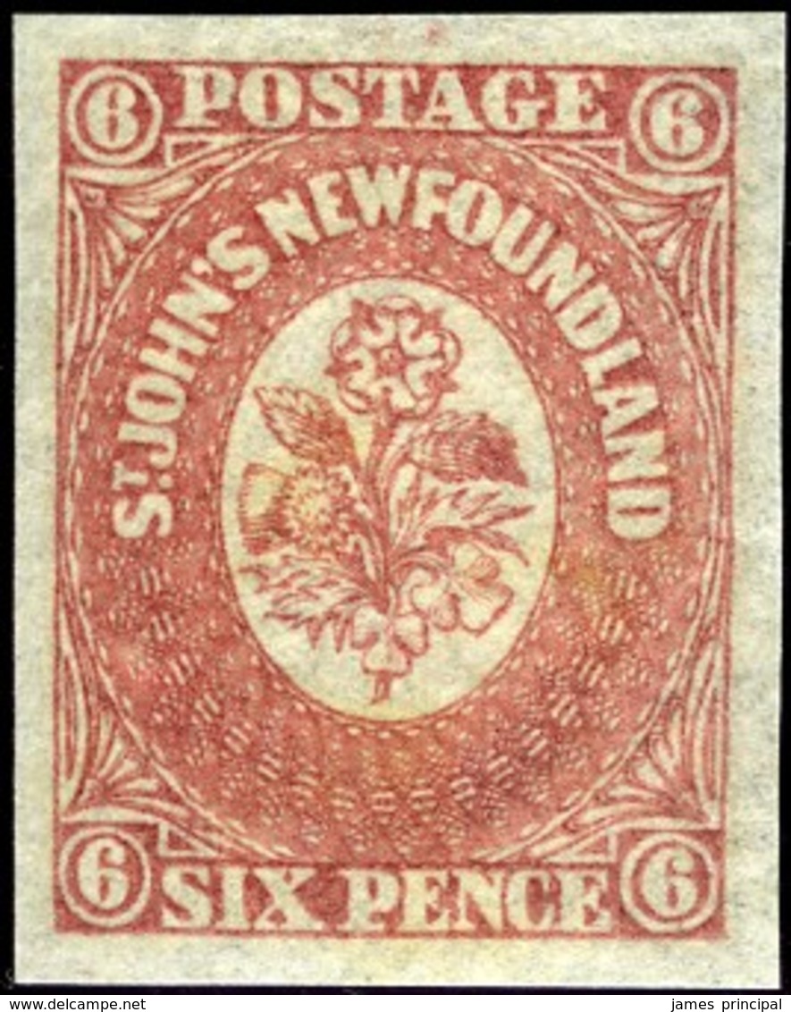 Newfoundland. Sc #20. Mint. XF. ** - 1857-1861