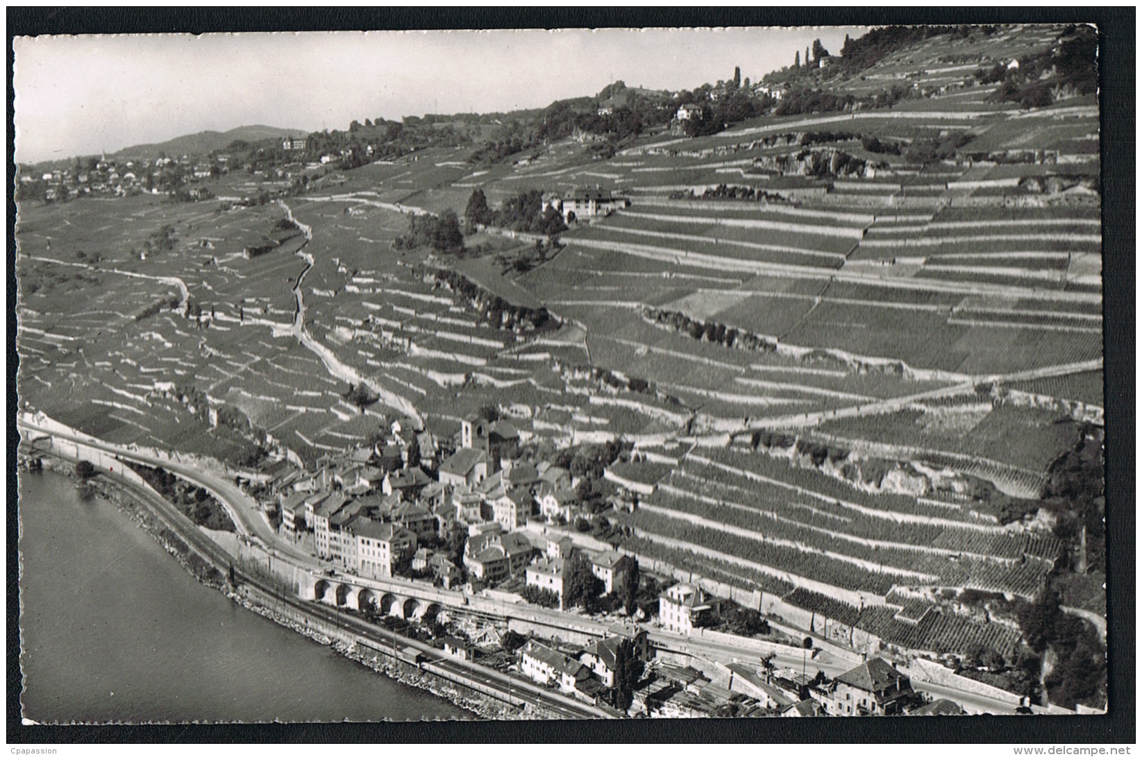 SAINT-SAPHORIN Et Les Vignes De Lavaux - SUISSE- Edit JAEGER 7244-- Scans Recto Verso- Paypal Sans Frais - Saint-Saphorin