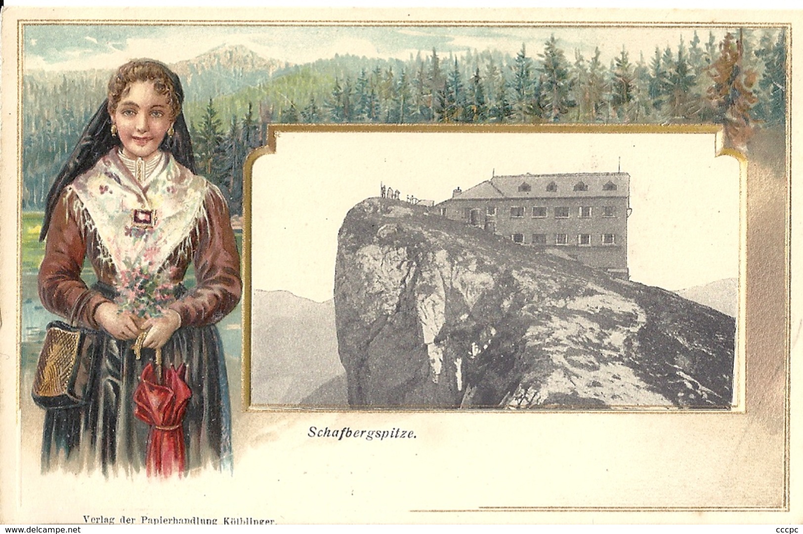 CPA Autriche Carte Gaufrée Schafbergspitze - Autres & Non Classés