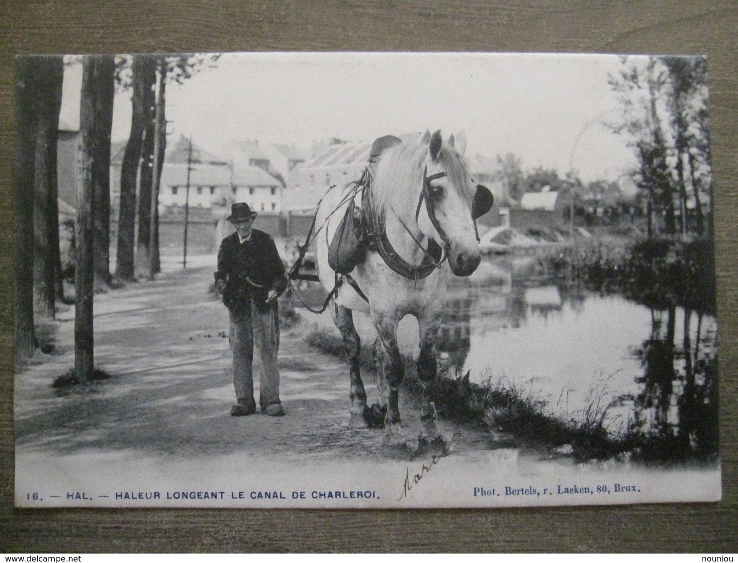 Cpa Hal Halle - Vieux Métier Haleur Longeant Le Canal De Charleroi - Halage Bateau - Phot. Bertels Laeken Bruxelles 1904 - Halle