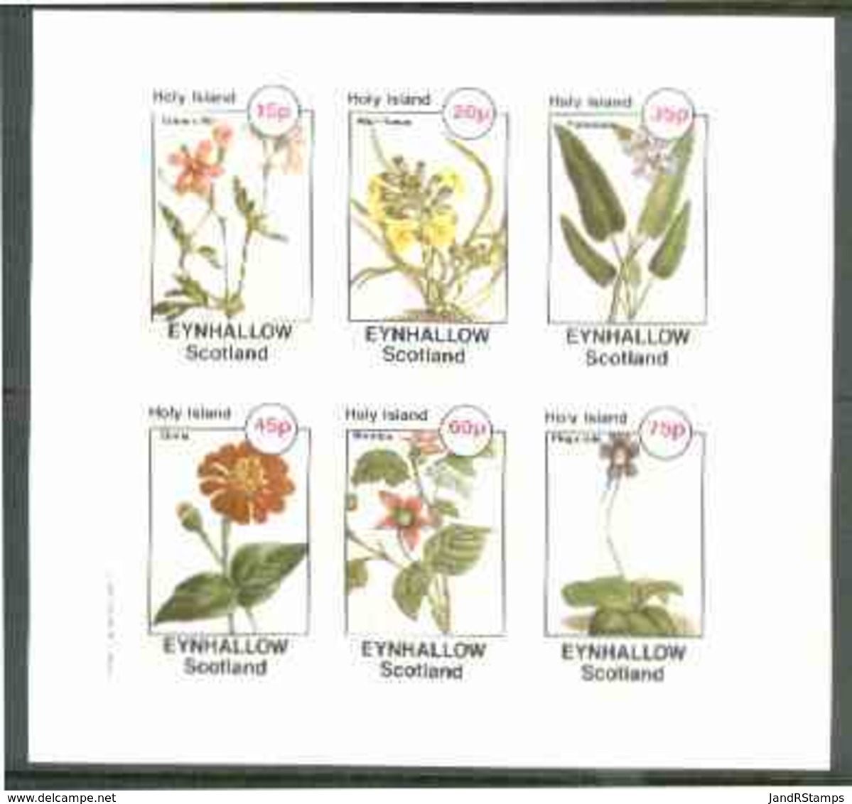 25220 Eynhallow 1982 Flowers #27 (Crane's Bill, Wall-Flower, Pontederia, Zinnia,Bramble & Pinguicula) Imperf Set 6 Vals - Emissione Locali