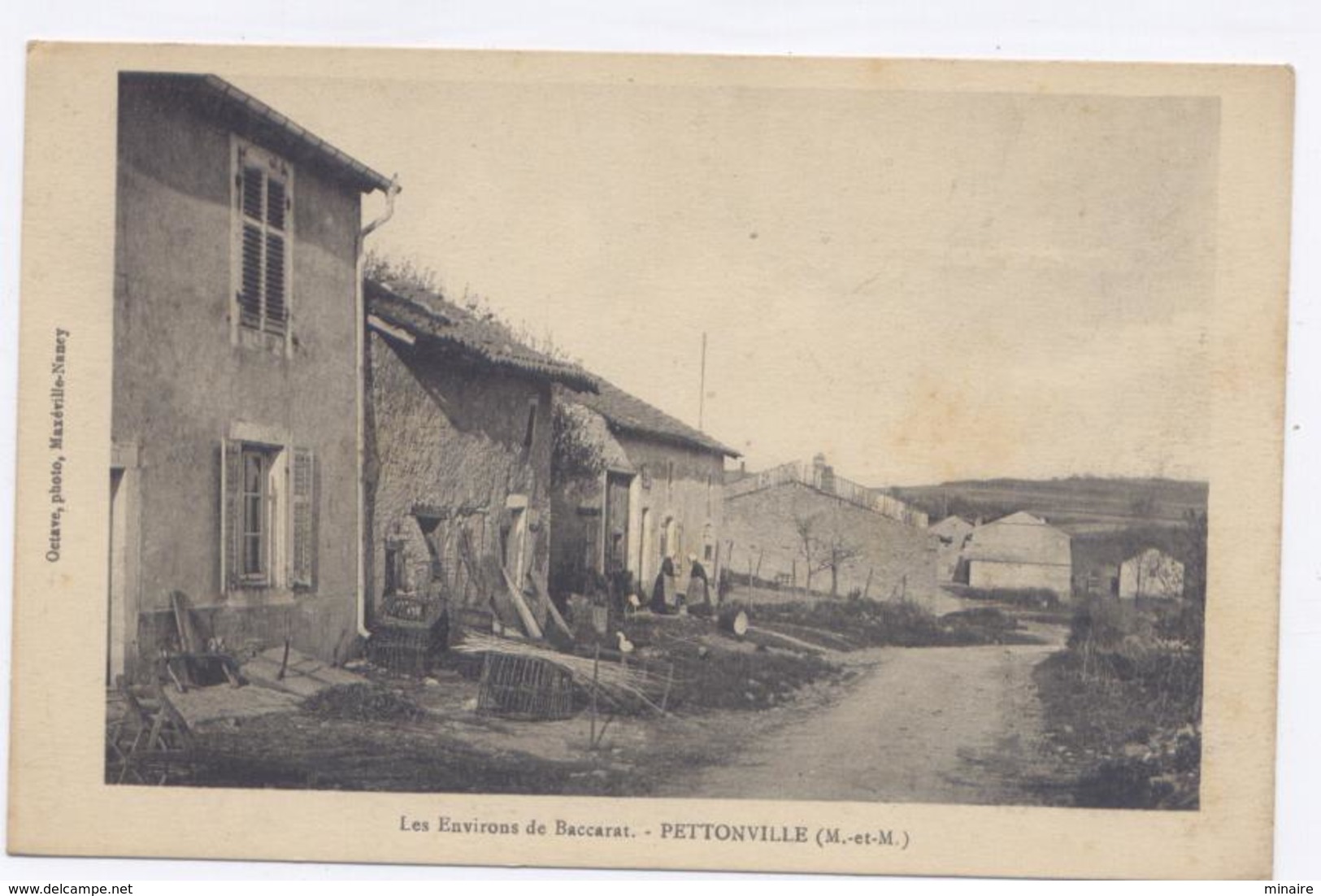 Près De Baccarat, PETTONVILLE - Bon état - Autres & Non Classés