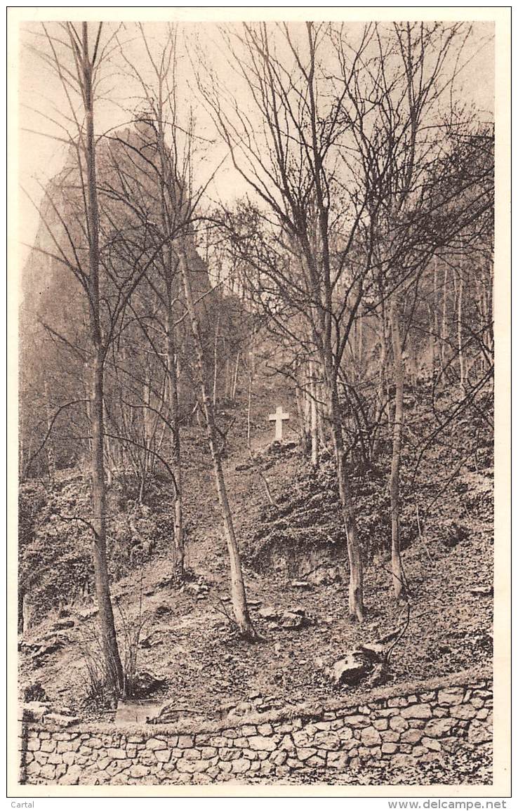 Rocher De Marche-les-Dames Où Notre Roi Bien-aimé, Albert Ier, Trouva La Mort Le 17 Février 1934 - Namur