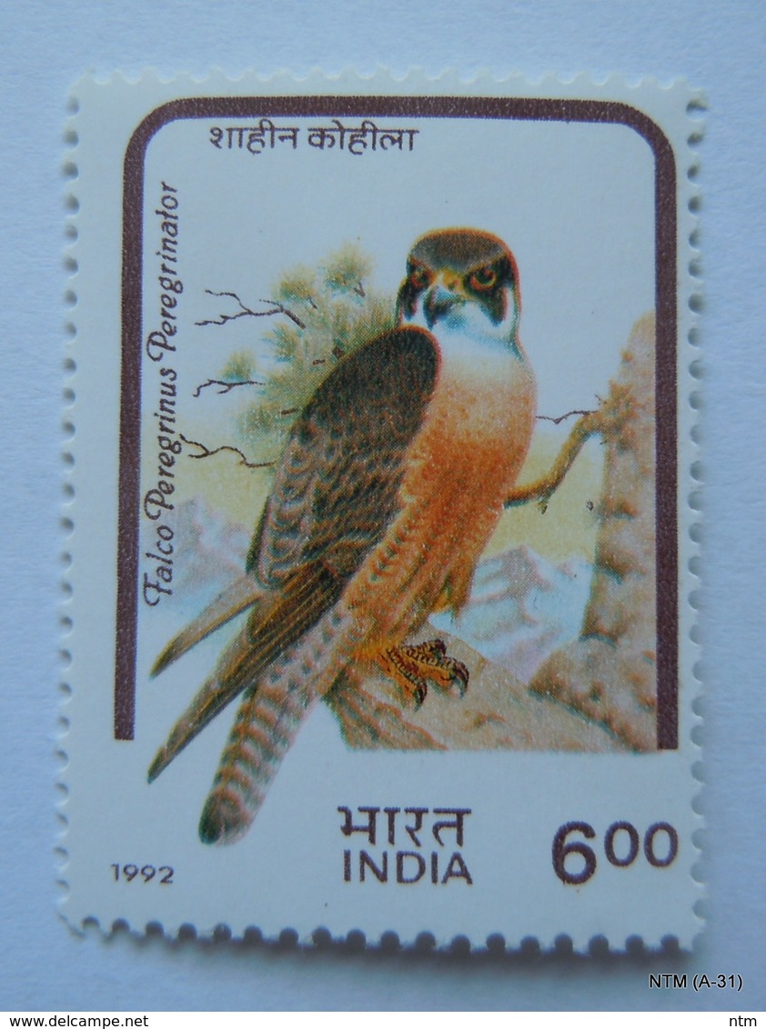 INDIA Year 1992, Falco Peregrinus Pergrinator, Bird Stamp (Shahin Kohila In Hindi) 6 Rupees. SG 1526, SC 1434, MNH - Nuevos