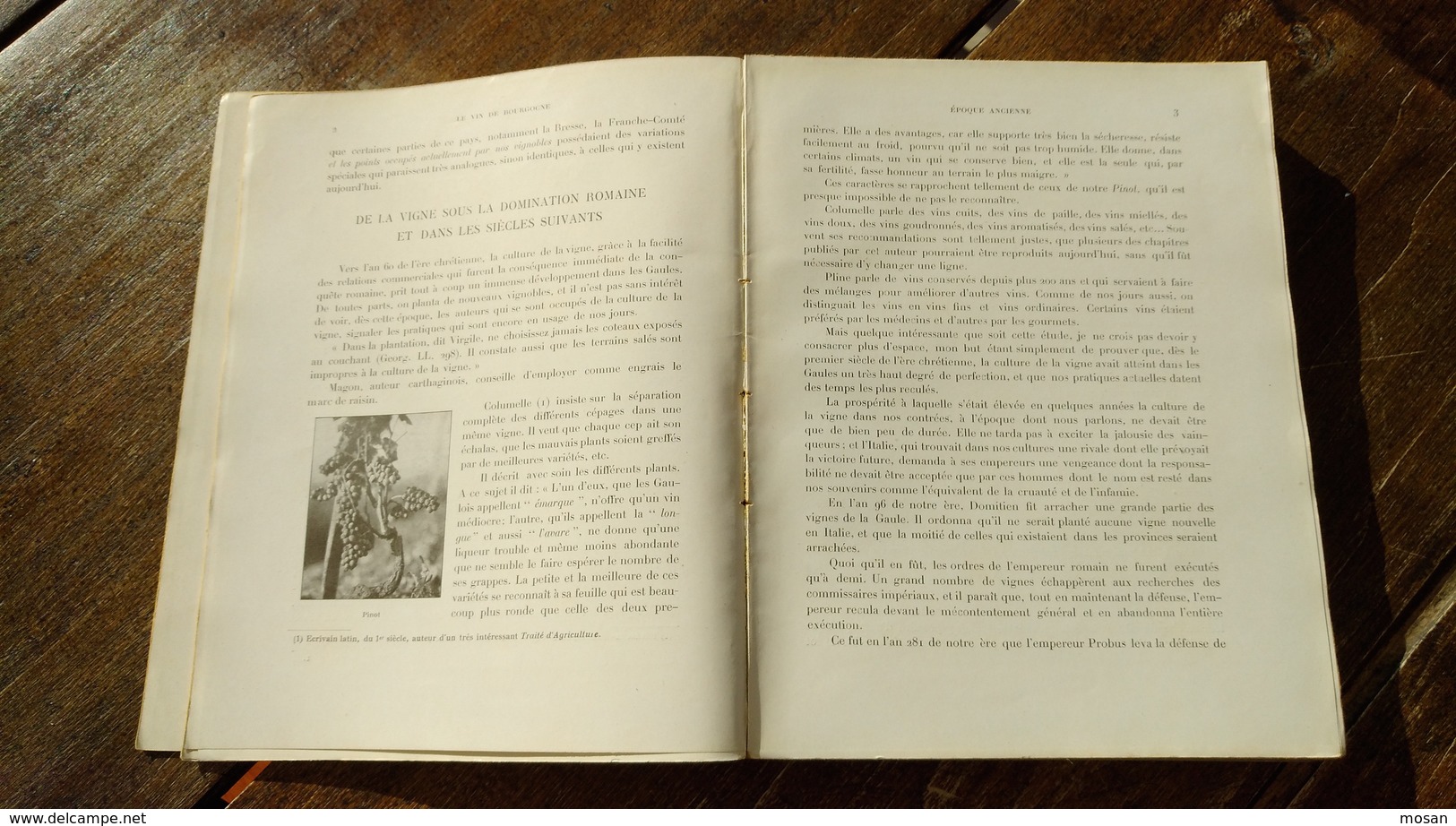 Le vin de Bourgogne. La Côte d'Or. Camille Rodier. Edition 1920. L. Damidot, Editeur. Dijon.