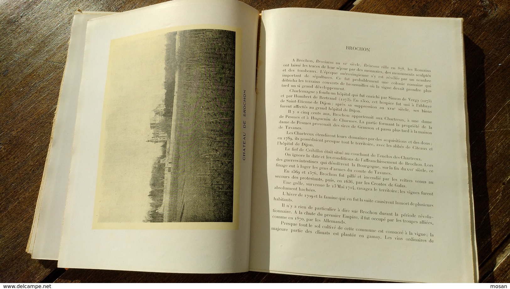 Le vin de Bourgogne. La Côte d'Or. Camille Rodier. Edition 1920. L. Damidot, Editeur. Dijon.