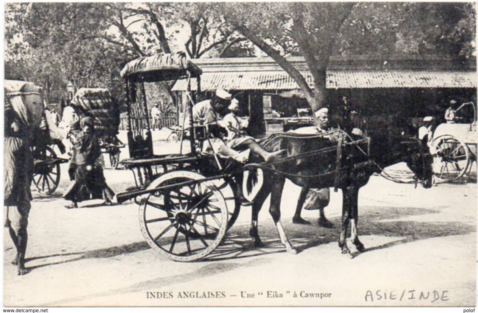 Indes Anglaises - Une "Eika" A CAWNPOR .  Attelage Cheval      (104625) - Tonga