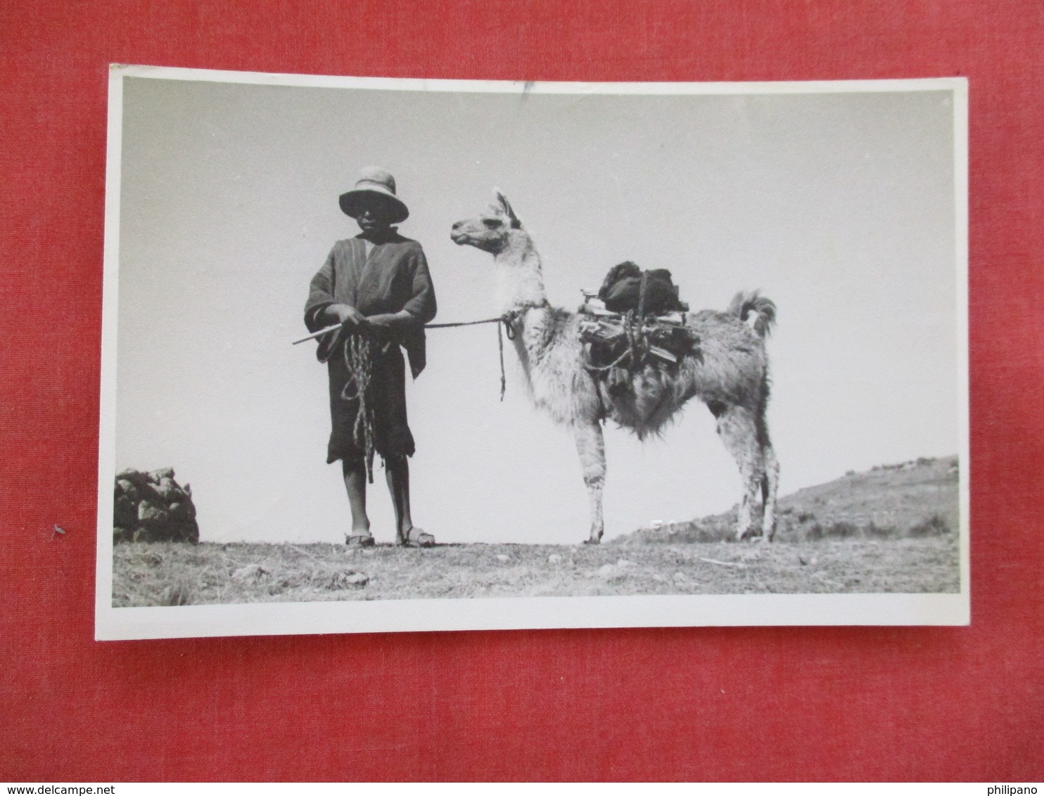 RPPC  Ecuador   Stamp & Cancel       Ref 2923 - Ecuador