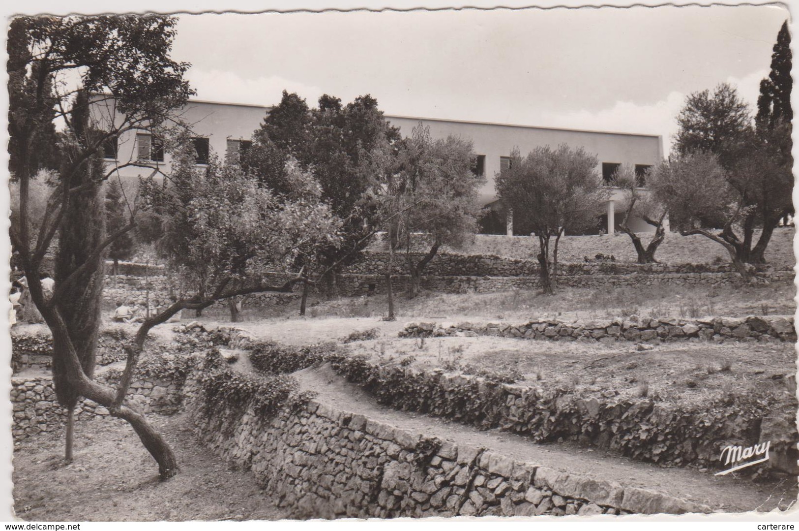 ,var,la Garde,domaine De Massacan,colonie De Vacances De La Ville De Grenoble,le Sud à Ses Débuts - La Garde Freinet