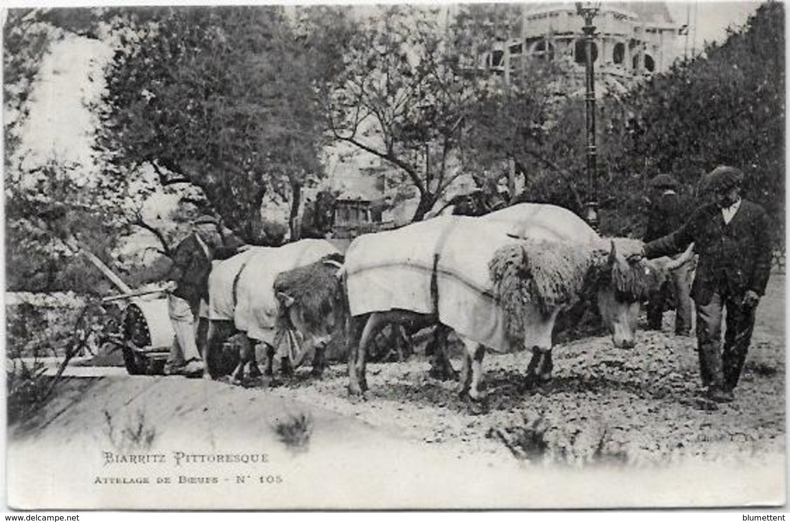 Cpa Région Pyrénées  Attelage Métier Non Circulé  Biarritz - Midi-Pyrénées