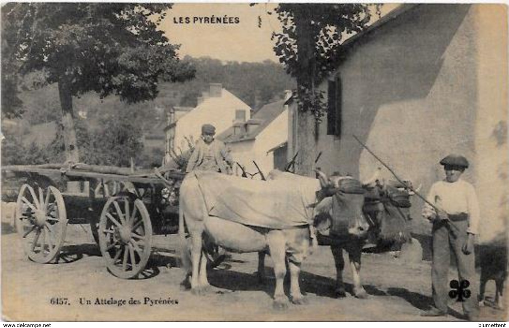 Cpa Région Pyrénées  Attelage Métier Circulé - Midi-Pyrénées