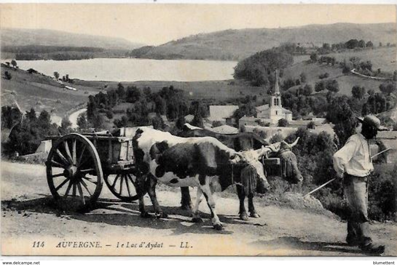 Cpa Région Auvergne Attelage Métier Non Circulé AYDAT - Auvergne