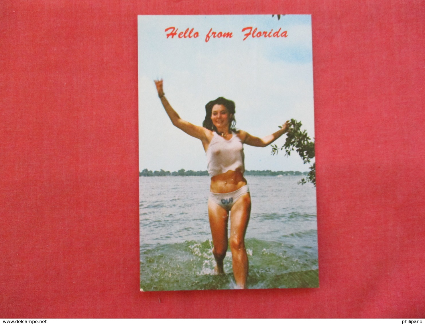 Pin-Ups   Hello From Florida  Ref 2924 - Pin-Ups