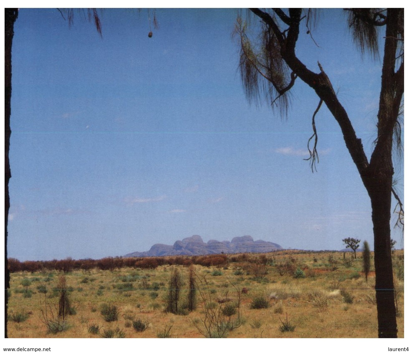 (800) Australia -  NT - The Olgas - Uluru & The Olgas