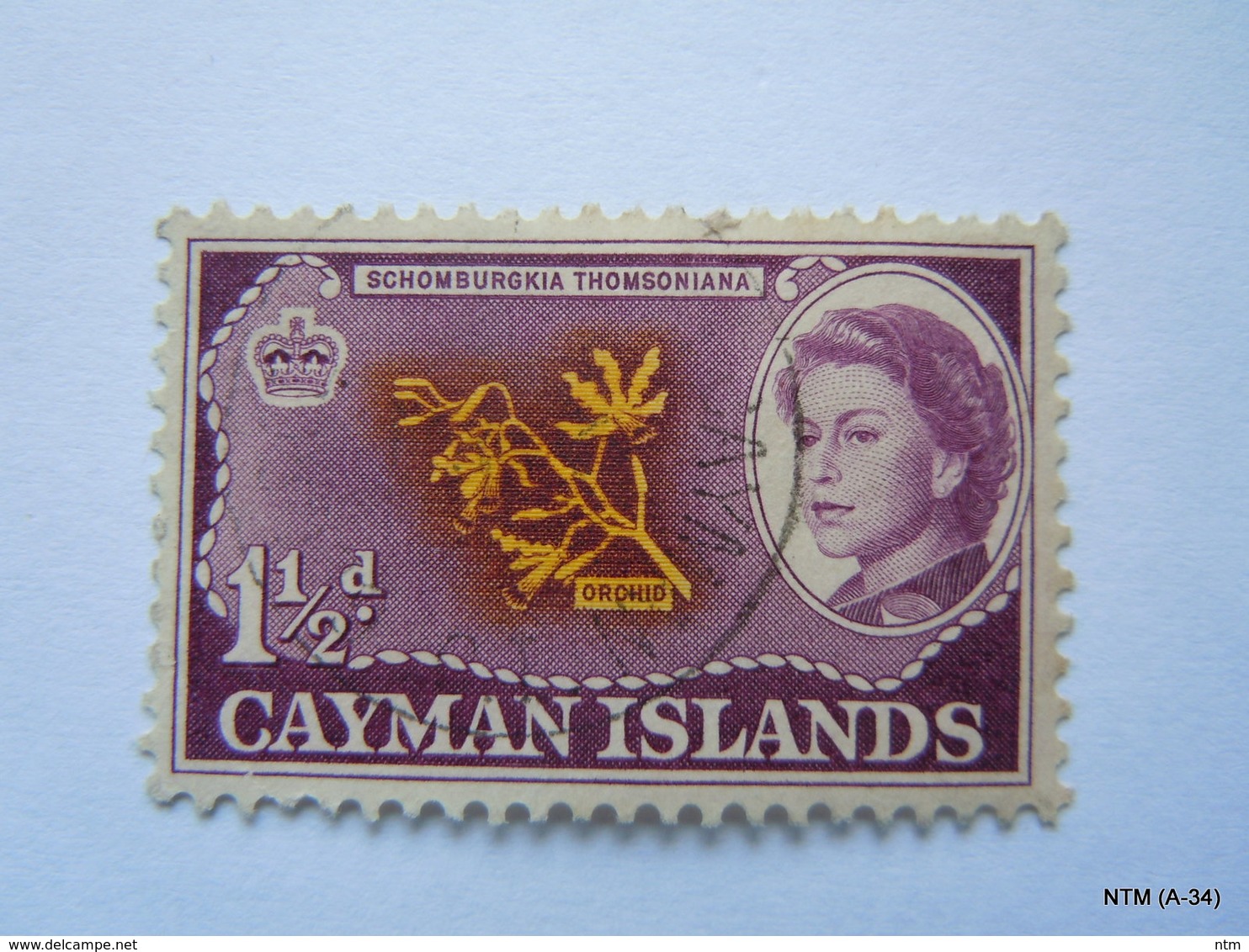 CAYMAN ISLANDS 1962, Queen Elizabeth II, Orchid, 1,1/2d. SG 167. Used. - Cayman Islands
