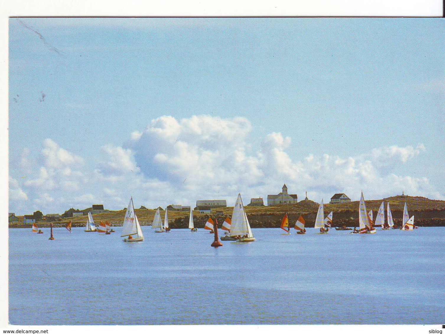 CPM/CPSM - SAINT PIERRE ET MIQUELON - L'ile Aux Marins, Le Rdv De L'école De Voile - Saint-Pierre-et-Miquelon