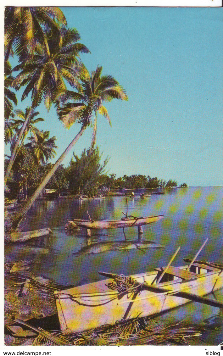 CPM/CPSM - TAHITI - La Plage à Punaauia - Polynésie Française