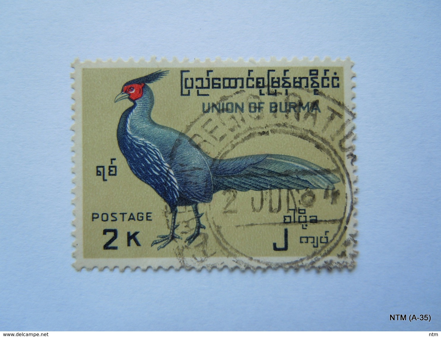 BURMA 1964, 2K  Long Tail Bird Stamp. SG 184, Used. - Myanmar (Burma 1948-...)