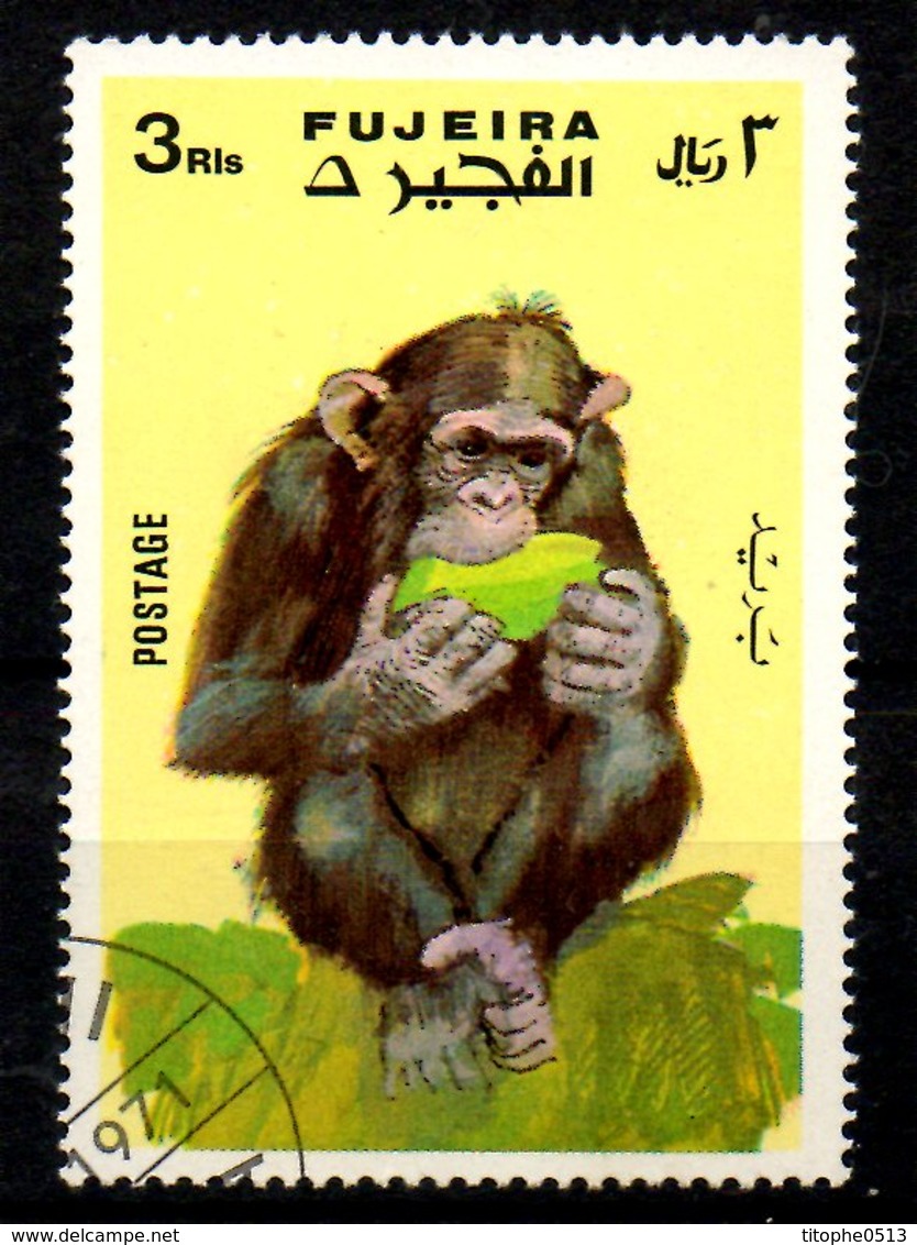 FUJEIRA. Timbre Oblitéré De 1971. Chimpanzé. - Chimpanzés