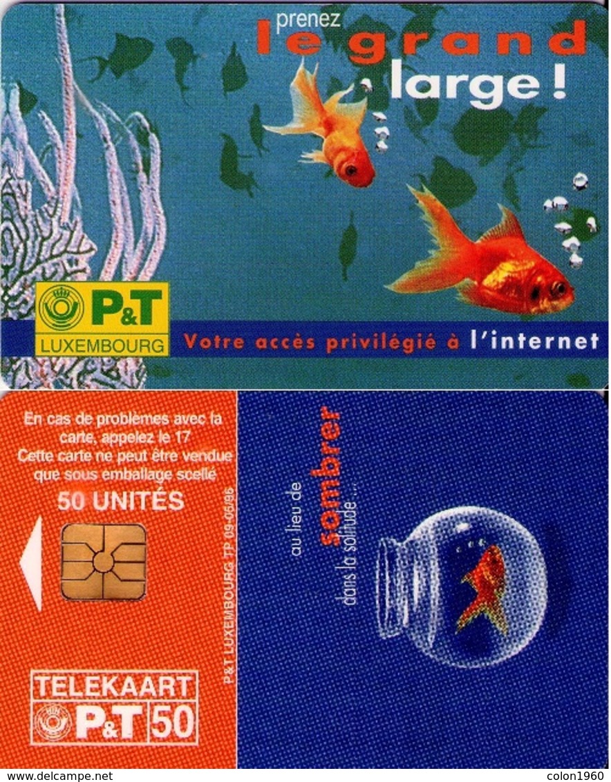 LUXEMBURGO. TP09. Internet - Prenez Le Grand Large!. 1996-05. (078) - Luxemburgo